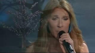 Céline Dion - If I Could (Live in Las Vegas)