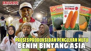 DAHSYAT‼️Ternyata Seperti ini Profil Perusahaan dan Proses Produksi Benih Unggul Bintang Asia