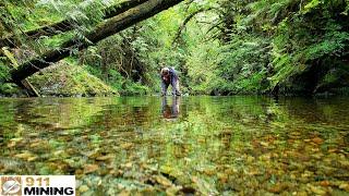 Panning For Gold On A Beautiful Creek!