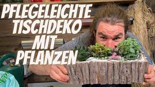 Gefäss gefüllt mit Sukkulenten - Pflegeleichte Tischdeko Idee - Sommer Wohnzimmer Deko Idee - DIY