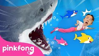  Run Away from the Sharks! | Animal Song | Hoi's Playground | Pinkfong Baby Shark Kids Song