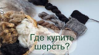 Где купить шерсть? Финский ландрас - Елена Лобачева (Псковская область)