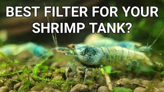 What Is The BEST Filter For Your Shrimp Tank? - Sponge, Hang On Back, Canister or Hamburg Matten?