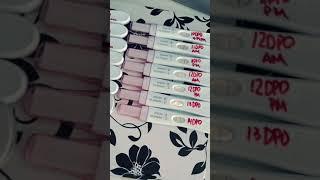 7DPO TO 14DPO PREGNANCY PROGRESSION . I’m pregnant ️️