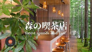 Ambient sounds + JAZZ Forest coffee shop Natural ambience sounds In the forest CAFE JAZZ - Work BGM