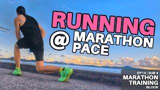 RUNNING AT MARATHON PACE | Sub-4 Marathon Training (Ep14) 10K Insights