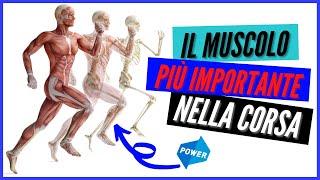 POTENZIAMENTO CORSA - IL MUSCOLO più importante per correre e migliorare la performance