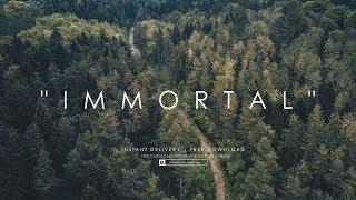 IMMORTAL - Hip Hop x Downtempo Chill x Orchestral Type Beat Instrumental (For inspiring lyrics)