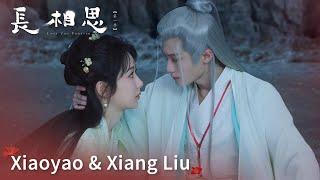 “夭柳”超长感情线回顾 | Review of Xiaoyao & Xiang Liu【长相思 第一季 Lost You Forever S1】