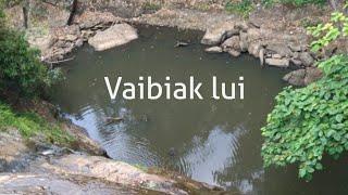 Vaibiak lui (by Tea CCK)