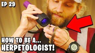 How To Become a Herpetologist!