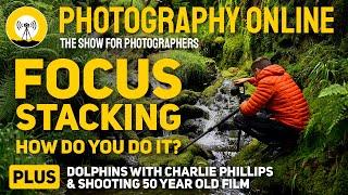 Focus Stack for Ultimate Sharpness | Dolphin Photography from the Land | Shooting 50 Year Old Film.