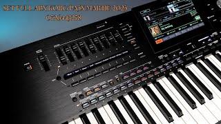 SET KORG PA5X MARTIE 2025  ️️