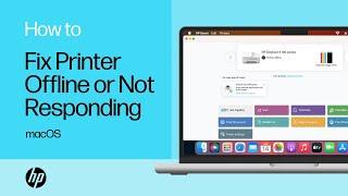 How to fix an HP printer that is offline or not responding from a macOS computer | HP Support