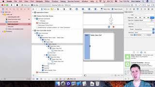 The Complete MacOS Developer Course - Apps for the Desktop! : Storyboards and the UI