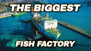 World's LARGEST Floating Fish Processing Vessel // Episode 1