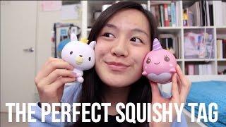 The Perfect Squishy Tag | Cyndercake415