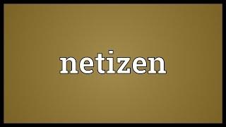 Netizen Meaning