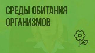 Среды обитания организмов. Знакомство с организмами сред обитания. Видеоурок по природоведению