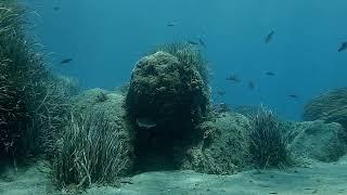 Cyprus Diving - Amathus Port Archaeological Site