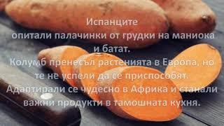 Колумбов обмен на земеделски култури