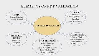 6 20 19   Validating your H&E Staining System