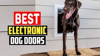 Top 5 Best Electronic Dog Doors in 2023