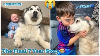 The Final Full 7 Year Story Of My Baby & Husky Becoming Best Friends!. Fly High Millie. [THE END]