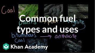 Common Fuel Types and Uses | AP Environmental Science | Khan Academy