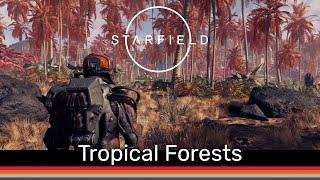 STARFIELD - a tour of 20 Tropical Forest biomes