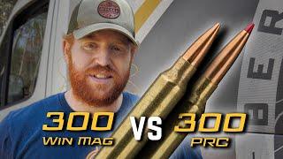 300 Win Mag vs. 300 PRC - Why are People Buying this Cartridge?