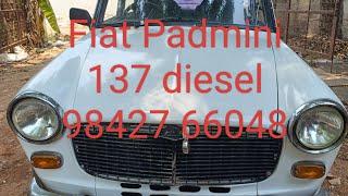 Fiat premier Padmini 137 diesel 98427 66048 for sales RC current location gobi