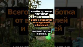 Лучшая обработка сада осенью от вредителей и болезней. Другие не нужны! #сад #огород #дача