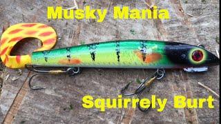 Musky Mania Squirrely Burt. First pike fishing sessions with the lure.