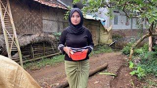 JANDA DESA CANTIK NAN RUPAWAN RAWAT IBU YANG SEDANG SAKIT HIDUP SEDERHANA DI PEDESAAN JAWA BARAT