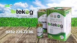 TEKOG Organik Gübre | Mısırda Gübre Kullanımı