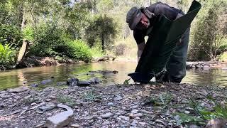 This creek is LOADED with GOLD $$$