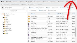 How to Edit .HTACCESS and View Hidden Files in CPanel File Manager