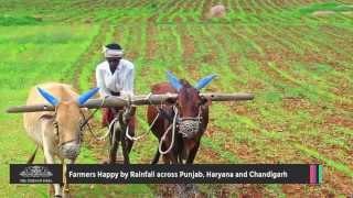 Farmers Happy by Rainfall Across Punjab, Haryana and Chandigarh