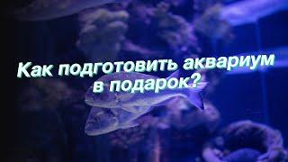 Как подготовить аквариум в подарок?