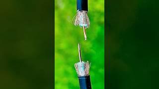 Here Comes The Repairman's Secret Trick!Connect Tv Antenna Cable Correctly  #channel #tv #tnt