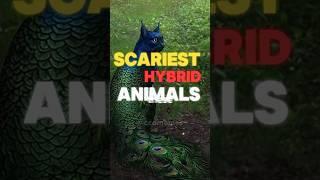 Scariest Hybrid Animals