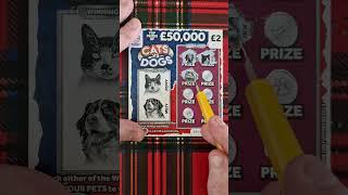 new lotto scratch card  cats vs dogs #lottery #scratch #shorts