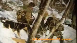 Tiger Hunting in Siberia, Rare Footage