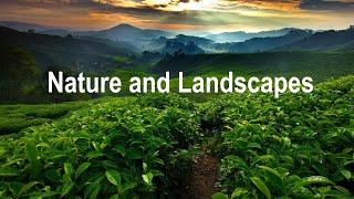 Nature & Landscapes