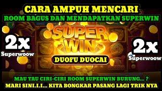 CARA MENCARI INFO ROOM BAGUS DI DUOFU DUOCAI HARI INI | JP 2x SUPERWIN BURUNG KUNTUL | HDI‼️