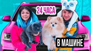 24 часа В МАШИНЕ С КОШКОЙ И СОБАКОЙ | Еще Одно Путешествие Кошечки Баттерс и Собачки Элис