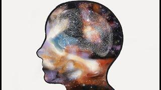 The Universe Inside Your Mind