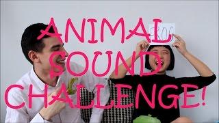 MatSan: ANIMAL SOUND CHALLENGE!