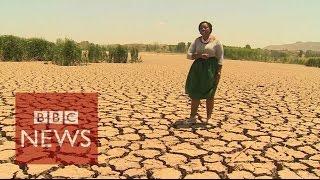 Worst drought in 30 years hits Sout Africa  - BBC News